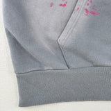 HLSTR Hoodie Future Flame Grey/Pink